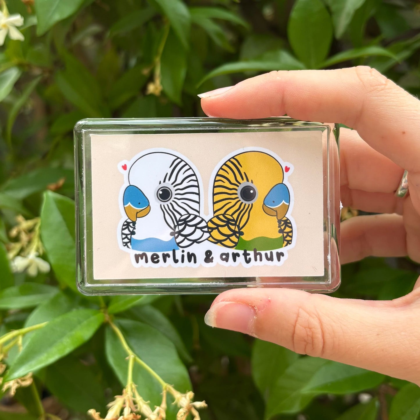 Magnet personnalisé oiseaux perroquets