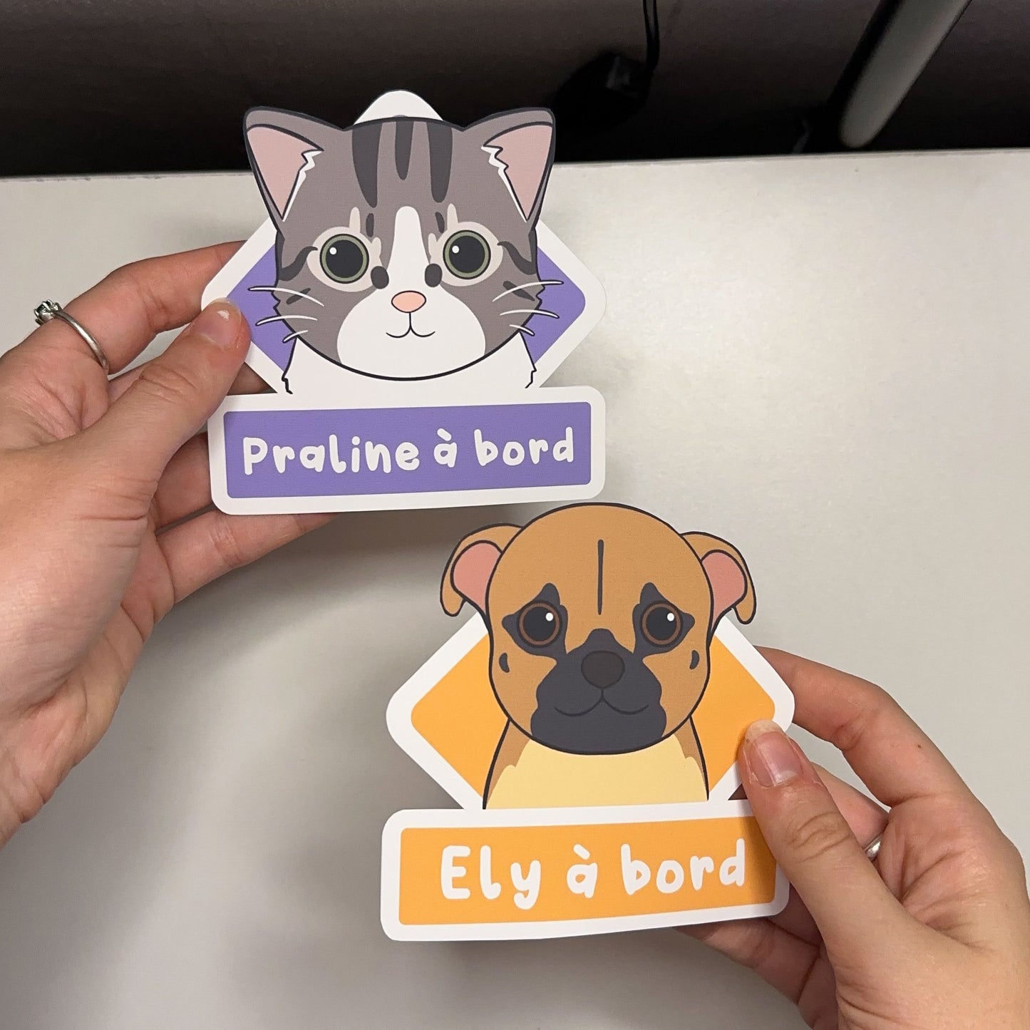Sticker signalétique chien ou chat à bord
