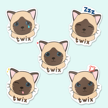 Sticker Personnalisé Animal de Compagnie Chat