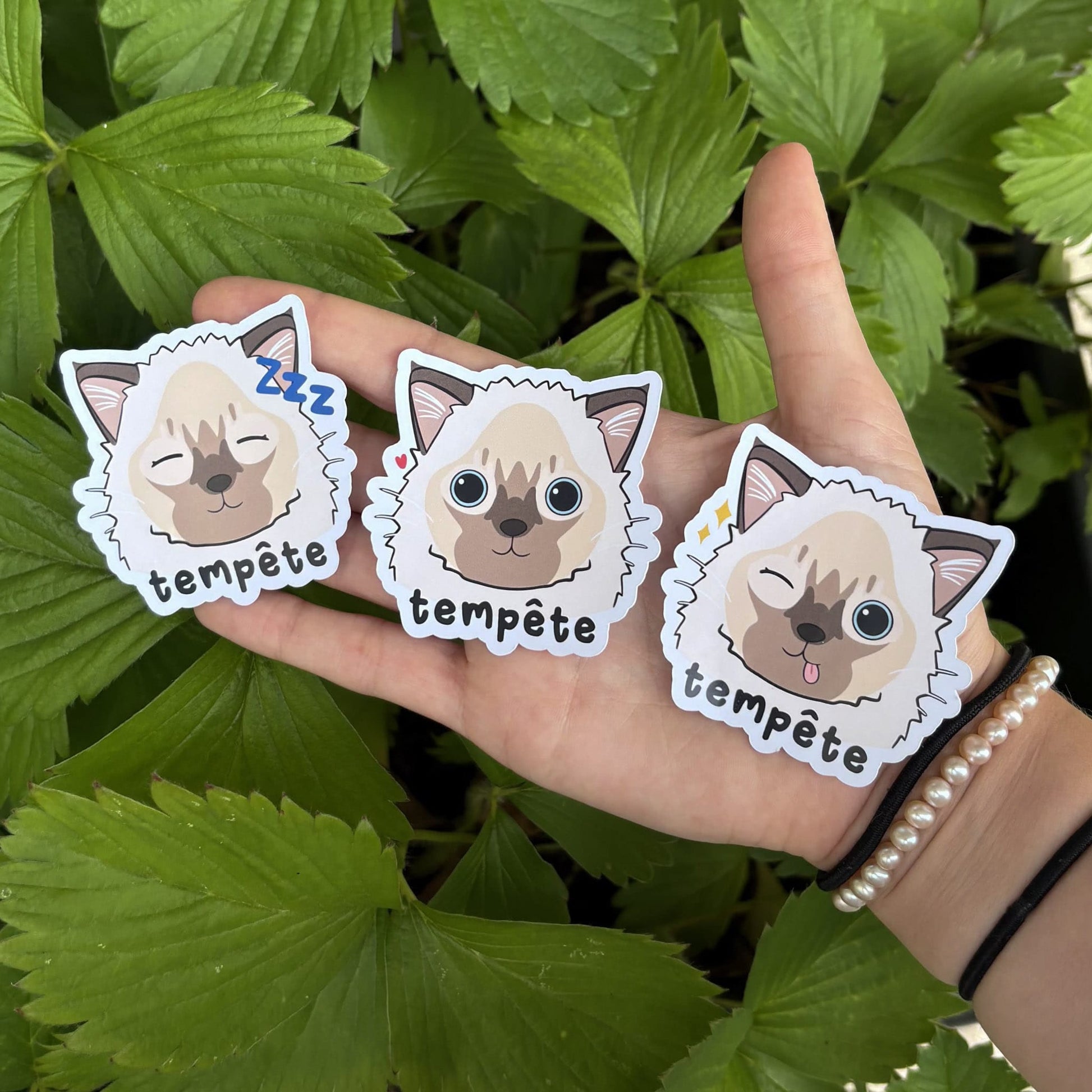 Sticker autocollant personnalisé chat